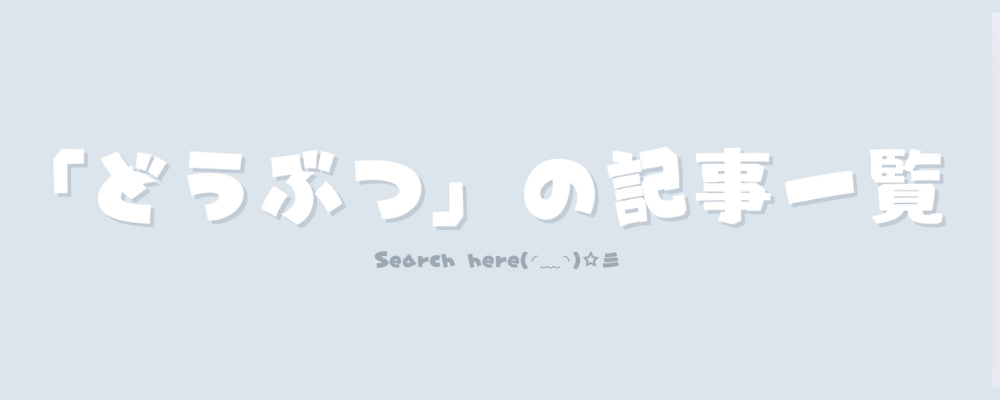 記事アイキャッチ